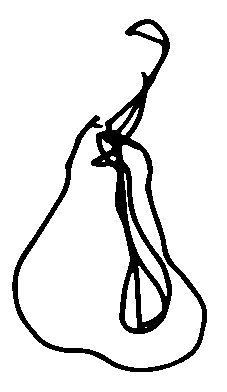 Pear illustration